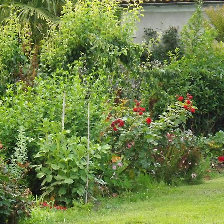 Bed and Breakfast Damechouette Pujols  Esterno foto