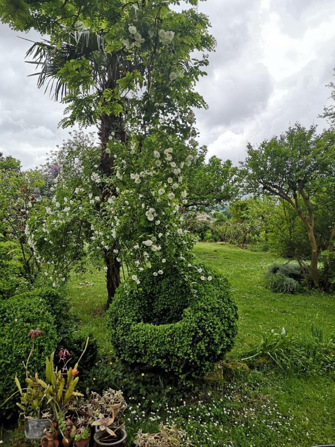 Bed and Breakfast Damechouette Pujols  Esterno foto