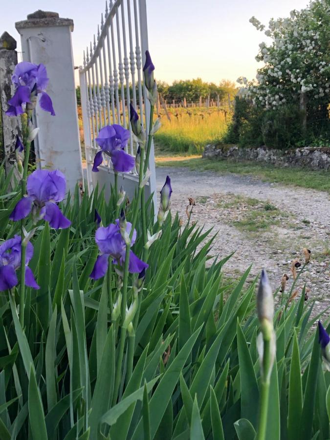 Bed and Breakfast Damechouette Pujols  Esterno foto