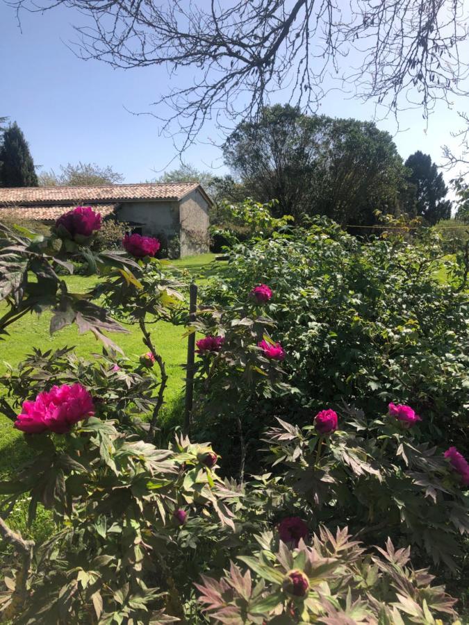 Bed and Breakfast Damechouette Pujols  Esterno foto