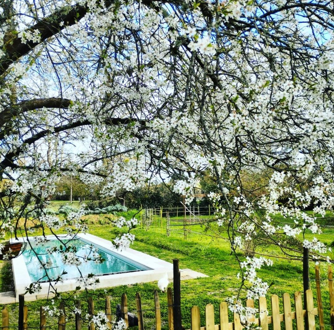Bed and Breakfast Damechouette Pujols  Esterno foto